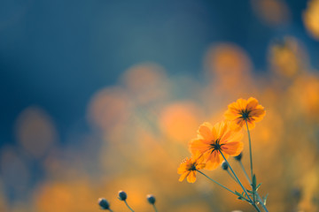 石家庄北站离石家庄站有多远