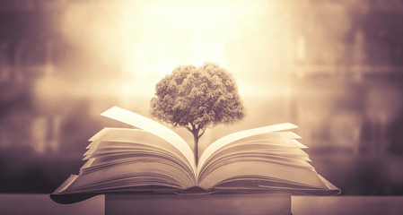 中考体育考考哪些项目