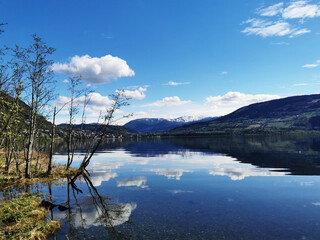 夏威夷的特色介绍