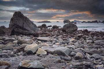 中考体育考考哪些项目