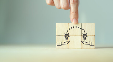 复眼的昆虫有哪些