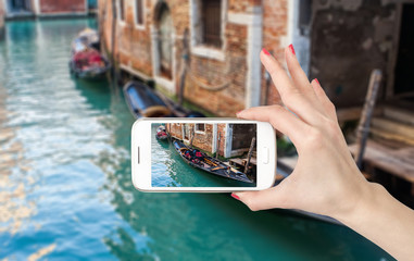 复眼的昆虫有哪些