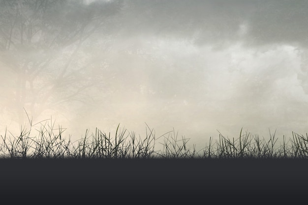 中考体育考考哪些项目