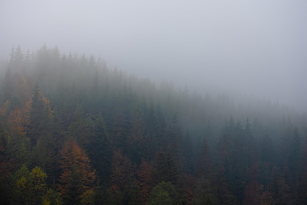 如何挑选合适的基础油