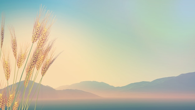 宝马保养用什么机油发动机不会出现抖动呢？