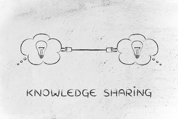 夏威夷的特色介绍