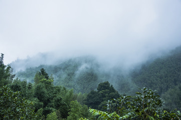 如何挑选合适的基础油